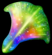 Rainbiw Rainbiw