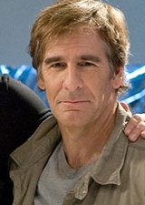 Stephen Bartowski