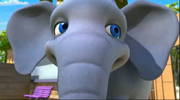 WilsonandtheElephant31