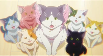 Chimera S Kittens Chuunibyou Demo Koi Ga Shitai Wiki Fandom Chimera S Kittens Chuunibyou Demo Koi Ga Shitai Wiki Fandom