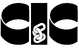 CIC