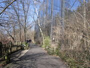 Eagle eyrie path