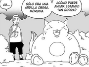 Ardilla