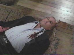 Robertloggia