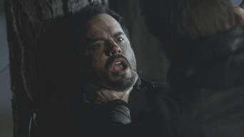 Stephenmartines