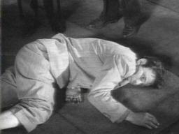 Peterfalk