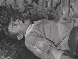 Martinmilner