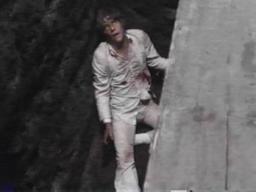 Georgesegal