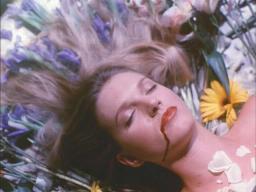 Sarahpeterson