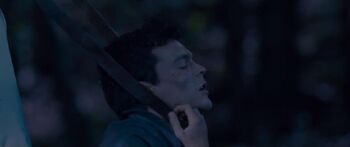 Aldenehrenreich
