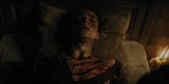 Bogdan Iancu Cinemorgue Wiki Fandom