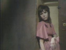 Judycarne
