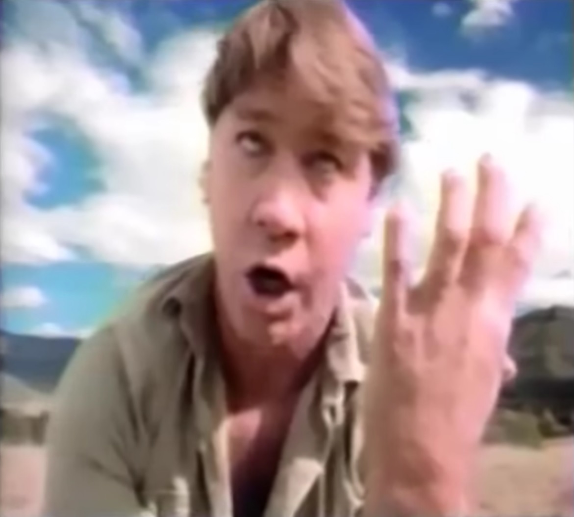 steve irwin pop turtle