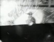 Desmondtester2