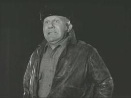 Dickwessel