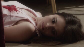 Stephanieleonidasmidsomermurders