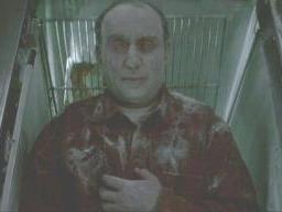 Stuartmbesser