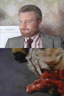 Donaldhouston