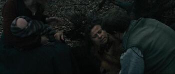 Traceyullman-intothewoods