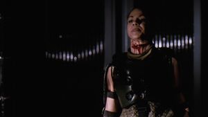 Amandabrugel