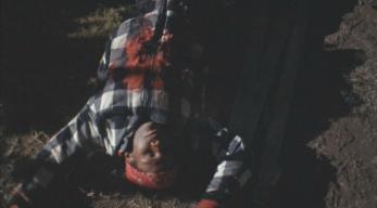 Briandavis