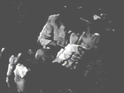 Barbarapayton