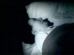 Stella Adams in 'The Vampire Bat'