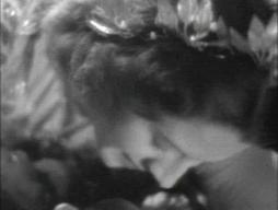 Normashearer