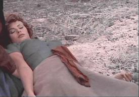 Sophialoren1