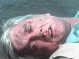 Leslienielsen