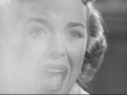 Nancygates