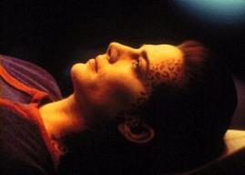 Terryfarrell