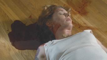 Melissaleo
