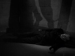Harrycording-blackcat