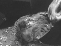 Peterlawford