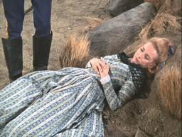 Terigarr