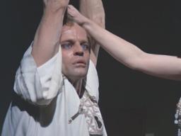 Klauskinski-venusinfurs