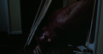 The Terminator3333455