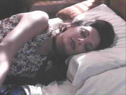 Alexmeneses