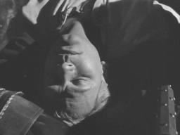Laurenceolivier