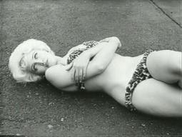 Bernadettemilnes