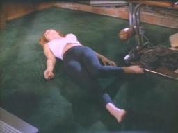 Tammyparks