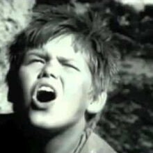 Lord Of The Flies 1963 Cinemorgue Wiki Fandom