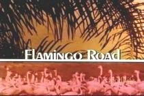 Flamingoroad