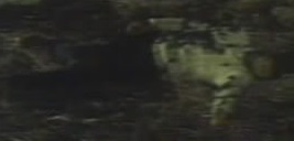 1971-GodzillavsHedorahavi10