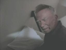 Raywalston