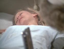 Marlapennington