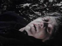 Robertginty1