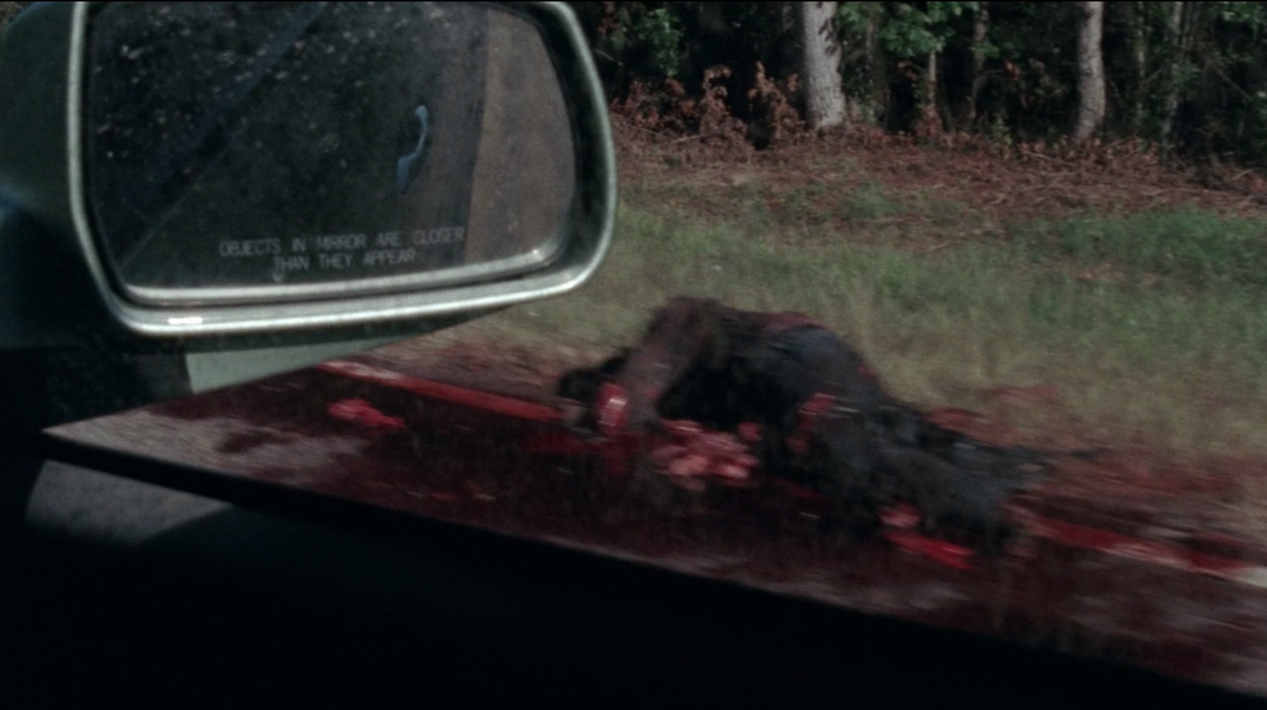 Hitchhikerdead