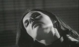 Sandraknight